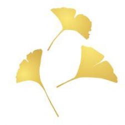 小山田内科医院